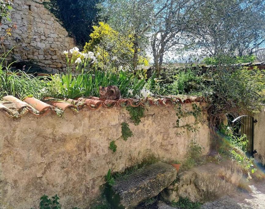 Romantique Room St Michel De Lanes Saint-Michel-de-Lanès المظهر الخارجي الصورة