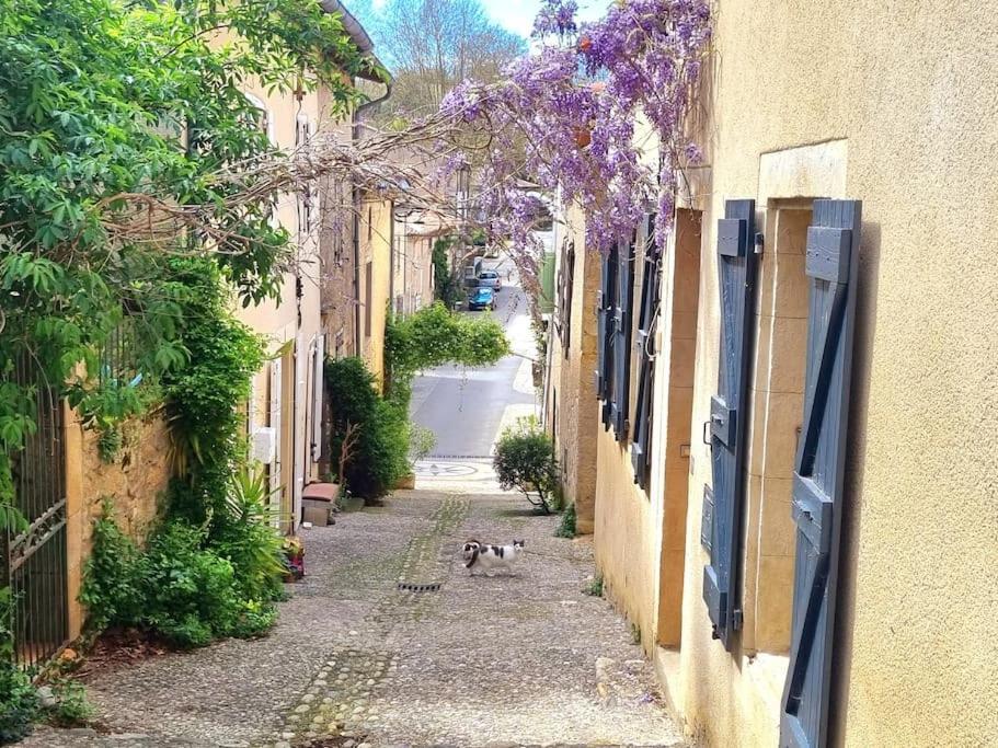 Romantique Room St Michel De Lanes Saint-Michel-de-Lanès المظهر الخارجي الصورة